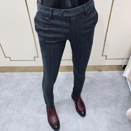 Men's Suits Men Striped Woolen Suit Pants 2024 Autumn Winter Casual Trousers Thicken Keep Warm Pantalones Hombre Slim Fit Dress