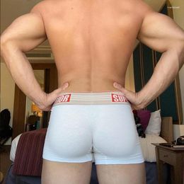 Underpants Fshion Sports Man's Panties Design Men Underwear Sexy Breathable And Comfortable Cotton Fit Sissy Ropa Interior Hombre