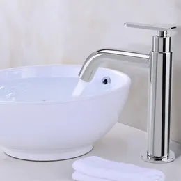 Bathroom Sink Faucets Basin Faucet 304 Stainless Steel Single Handle Kitchen Cold Water Wash Taps Modern Lavatory Tap