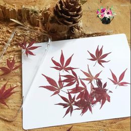 Decorative Flowers 120pcs Red Pressed Dried Leaves Plant Herbarium For Jewellery Pendant Ring Earrings Flower Making Accessories