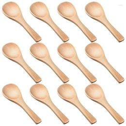 Spoons 40 Pieces Mini Wooden Spoon Tasting Seasoning Kitchen Cooking (Natural Wood Color)