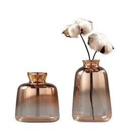 Gradient Golden Glass Vase Nordic Electroplating Home Decoration Dry Bar Restaurant Flower Arrangement vase 240131