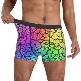 Underpants Shallow Water Underwear Rainbow Glow Print Men Printing Classic Boxer Shorts Brief Plus Size 2XL