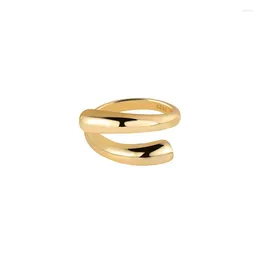 Cluster Rings 3.4g One Piece Women's Fashion Creative Smooth Surface Line Winding 925 Sterling Silver 18k Gold Open