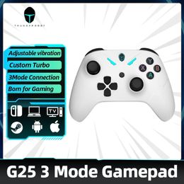 G25 Buletooth Wireless Wired Vibration Gamepad Joystick Controller for Switch Windows PC STEAM TV Game Controller Joypad 240124