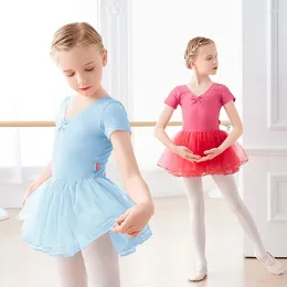 Stage Wear Ballet Dress Dance Tutu Girls Leotard Dancewear Kids Children High Quality Short Sleeves Tulle