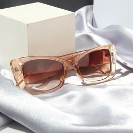 Sunglasses Cat Eye Retro Sparkling Pink Women Contrasting Colour Personalised Wide Leg Sun Protection Small Frame Glasses