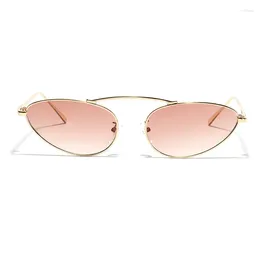 Sunglasses CatEye Women Chic Luxury Sun Glasses Steampunk Metal Men Hip-hop Eyewear Y2K Punk Shades 2024