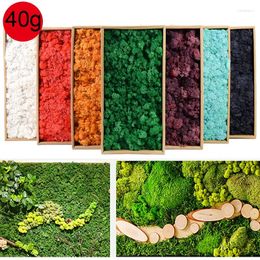 Decorative Flowers 40g Artificial Moss Grass Simulation Lawn Green Fake Plants For Home Garden Wedding Decoration DIY Micro Landscape Decor