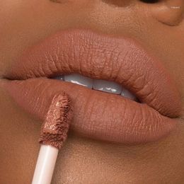 Lip Gloss Heallor Lasting Velvet Matte Nude Brown Liquid Lipsticks Waterproof Colour Rendering Non-stick Cup Lips Makeup Korean C