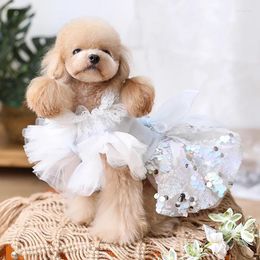 Dog Apparel Fashion Handmade Clothes Pet Items Princess Dress Dreamy Light Blue Tulle Lace Chameleon Sequin Skirt More Layers One Piece