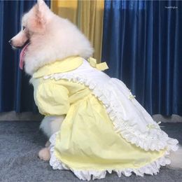 Dog Apparel Large Clothes Summer Big Dress Maid Outfit Samoyed Husky Labrador Golden Retriever Dobermann Sheepdog Clothing Skirt