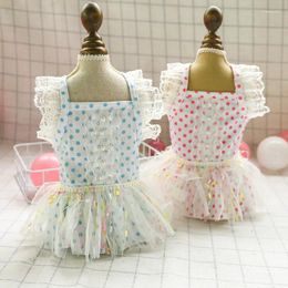 Dog Apparel Lace Dress Spring Summer Princess Party Skirt Clothing For Dogs Chihuahua Yorkie Wedding Dot Gauze Dresses Pets Costumes