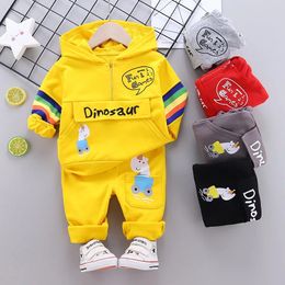 Baby Boys Cotton Dinosaur Sweatshirt Sports Hoody Tops Clothing Set Toddler Kids Tracksuit Children Spring Autumn Clothes 240202