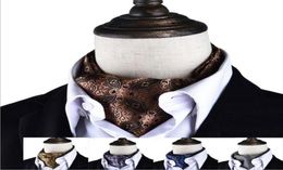 mens ascot tie casual cravat dress shirt suit wide necktie men039s accessories neckties brand neckwear man pink blue red5312990