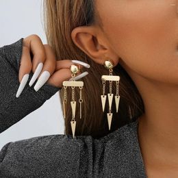Dangle Earrings Personalised Triangle Pendant For Women Simple Women's Long Tassel Jewellery Wholesale Direct Sales