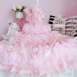 Dog Apparel High-end Handmade Clothes Pet Supplies Trailing Wedding Dress Lace Tulle Tiered Skirt Pink Embroidery Ribbon Bow Party Gown