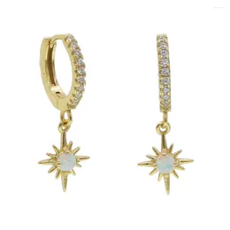 Dangle Earrings Fashion Korean Style Fresh And Simple Temperament Opal Star North Charm Female Jewellery Women Gift Wholesale