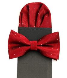 Bow tie set insert pocket square handkerchief square towel butterfly dot handkie for man bowknot black red wedding 2setlot5934256