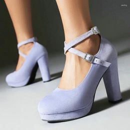 Dress Shoes Flock Violet Light Purple Pink Sweet Lady Spring Autumn Pumps 2024 Closed Toe Cross-strap Block High Heels Mary Janes