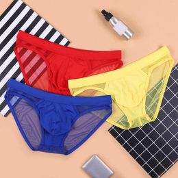 Underpants Mens Sexy Mesh Briefs See-Through Underwear Sissy Man Low Rise Penis Pouch Male Gay Transparent Breathable Panties