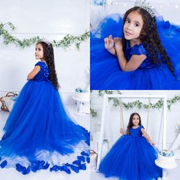 Royal Blue Shining Flower Girl Dresses Sheer Neck Puffy Pleated Tiered Tulle Ball Little Girls For Wedding Appliqued Lace Beaded Bridal Gowns NF S S S s