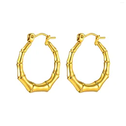 Hoop Earrings Statement Hoops Women's Bamboo Stainless Steel Gold Plated Jewellery