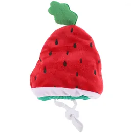 Cat Costumes Adorable Pet Cap Lovely Watermelon Design Kitten Hat Dress Up Headwear