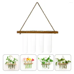 Vases Hydroponic Test Tube Vase Wall Glass Planters Flower Pot Home Decor Flowerpot Hanging