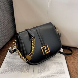 High End Handbag for Women in Autumn Winter 2023, New Chain Single Shoulder Crossbody Bag, Niche and Versatile Underarm Saddle Bag 75% factory direct sales