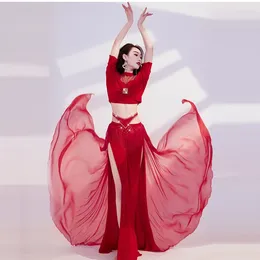 Stage Wear Autumn And Winter Women's Belly Dance Costume Sparkling Tassel Yarn Oriental Performance Set