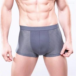 Underpants 2pcs 4XL Plus Size Bamboo Men Underwear Breathable Modal Panties Male Man Sexy Mens Boxer Shorts Gray Mesh Boxers