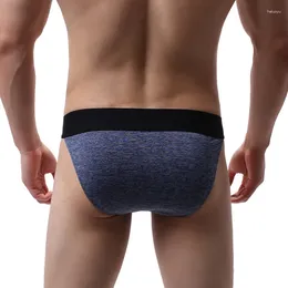 Underpants Men Briefs Breathable Sexy Underwear Cuecas Soft High Quality Boys Panties