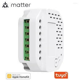 Smart Home Control Lonsonho Matter WiFi Switch Module Relay 2 Gang Works With Homekit Tuya Smartlife