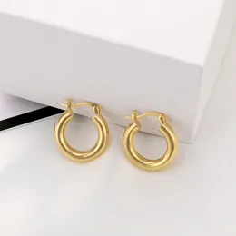 Dangle Earrings Exquisite High Quality 925 Silver Stud European American Style Gold-Plated Fashion Jewelry Metal Hoops Set
