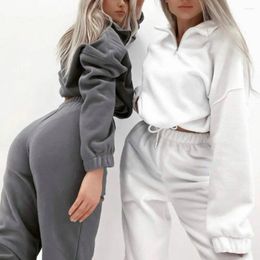Women's Two Piece Pants Women Casual Two-piece Set Thick Warm Tracksuit With Stand Collar Sweatshirt Ankle-banded Trousers 2 Pcs/set