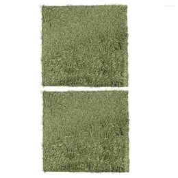 Carpets 2 Pcs Climbing Pet Fake Lawn Simulated Moss Artificial Grass Ceramic Tile Absorbent Mats Cotton Reptile Thick