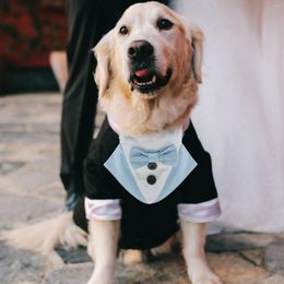 Dog Apparel Pet Bib Decor Puppy Scarf Suit Collar Bandanas Saliva Scarfs For Dogs Medium