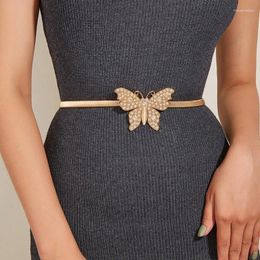Belts Fashionable Metal Spring Belt For Women's Fashion Versatile Dress Shirt Sweater Elastic