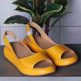 Autumn Spot Mouth Sandals 2024 Fish Microfiber European and American Women's Elastic Wear Low Heel Shoes 142 914