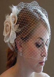 Classical Birdcage Face Wedding Veils Mesh Short Bridal Veils Net Face Covered Veil with Comb2837462