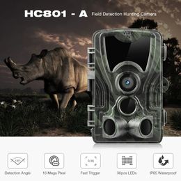 Suntekcam Hunting Camera 20MP 1080P IP65 Night Vision Trail Cameras Waterproof Wildlife Po Trap Surveillance Cams HC801A 240126