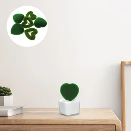 Decorative Flowers 6pcs Heart Shaped Moss Bonsai Decor Diy Ornament Window Accessory