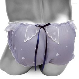 Underpants Sissy Sexy Lingerie With Wing Bowknot Transparent Mens Underwear Ruffles Crossdressing Panties Funny Gay Male