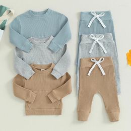 Clothing Sets 2Pcs Baby Boys Clothes Fall Set Long Sleeve Crew Neck Sweatshirt Tops With Elastic Waist Sweatpants Infant