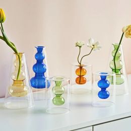 Nordic Modern Double wall Vase Creative Hydroponic Transparent Glass Vase Living Room Desktop Decor Personalized Art Ornament 240122