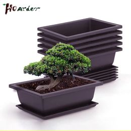 Training Pots With Tray Plastic Bonsai Plants Pot Square For Flower Succulent Plant Trays planter 240131