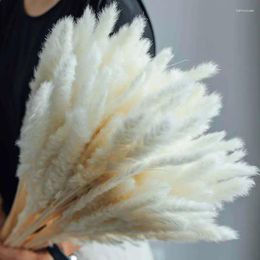 Decorative Flowers Pampas Grass Bouquet 30PCS/Length 42-50CM Real Dried Natural Reed Flower Dry Small Bulrush Reeds Home Decoration Wedding