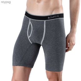 Underpants 2023 New Style Cotton Fly Boxer Long Leg Underwear For Man Shorts Big Size And Panties Homme Luxury Brand Boxerhomme YQ240214