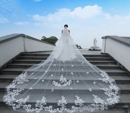 Gorgeous Two Layers Cathedral Length Applique Embellished Tulle Long Wedding Bridal Veils With Comb Custom Made4762727